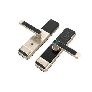 Khóa thông minh cửa gỗ DR-052