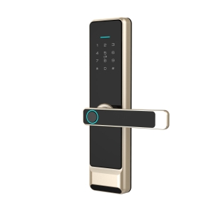 Khóa thông minh cửa gỗ DR-052