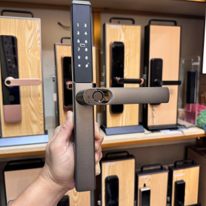 Khóa vân tay cửa nhôm DR-010