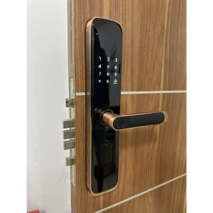 Khóa thông minh cửa gỗ DR-051